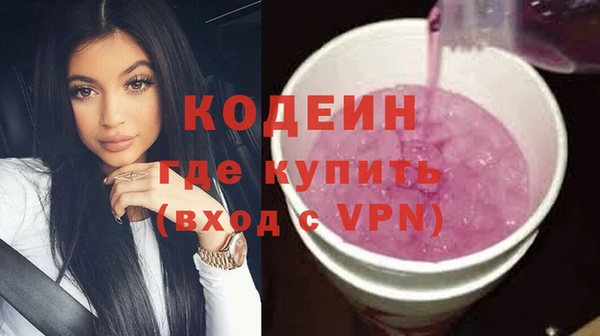 хмурый Алексин