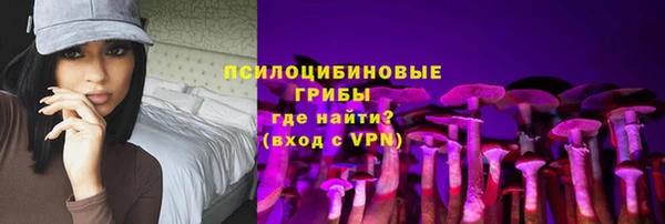 хмурый Алексин