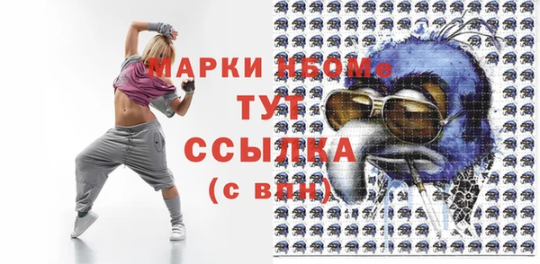 хмурый Алексин