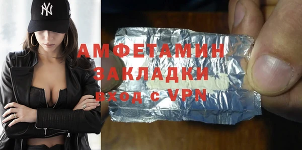 хмурый Алексин