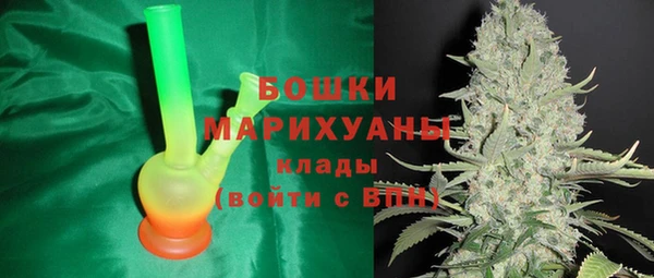 PSILOCYBIN Иннополис